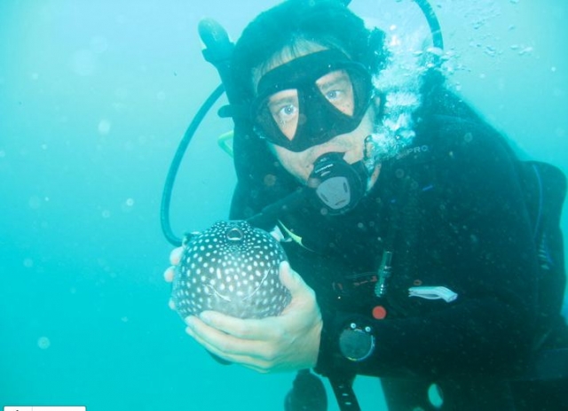 Buceo en el mar
